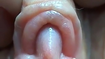 Intense Close-Up Of Pussy Lips And Clit
