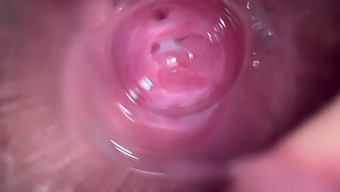Intense Massage Leads To Orgasmic Close-Up Of Tight Teen'S Pleasure