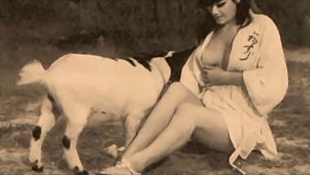 Classic And Taboo: A Vintage Erotic Adventure