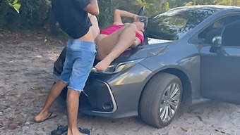 A Couple Engages In Public Sex On A Platter In Brazil